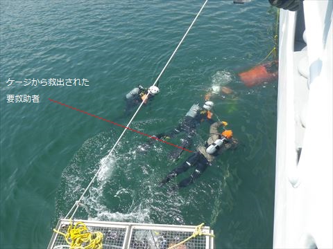 ケージの外へ救出(オレンジ色のマスクを装着)